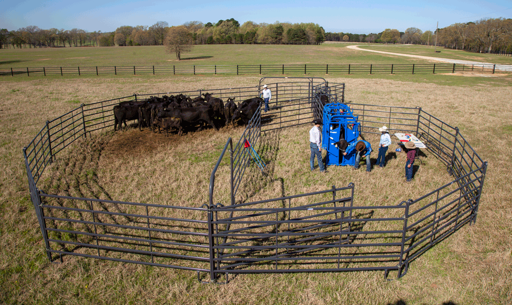 Priefert Premier Open Sweep Corral PS13520CSIMG 8151.png